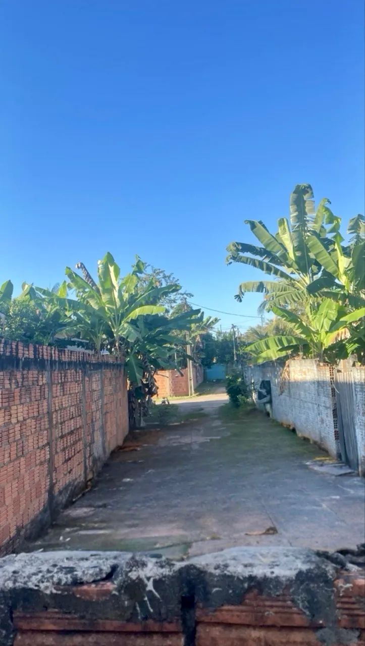 Terreno Vila Acre(ramal Castanheira) - Foto 3