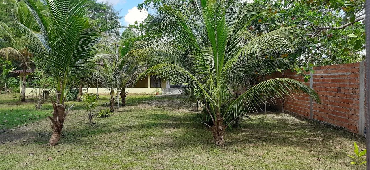 VENDO SÍTIO na cidade de Benevides-PA. - Foto 4