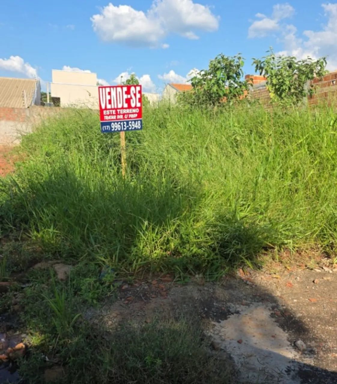 Foto - São José do Rio Preto - Fazenda Rio Preto