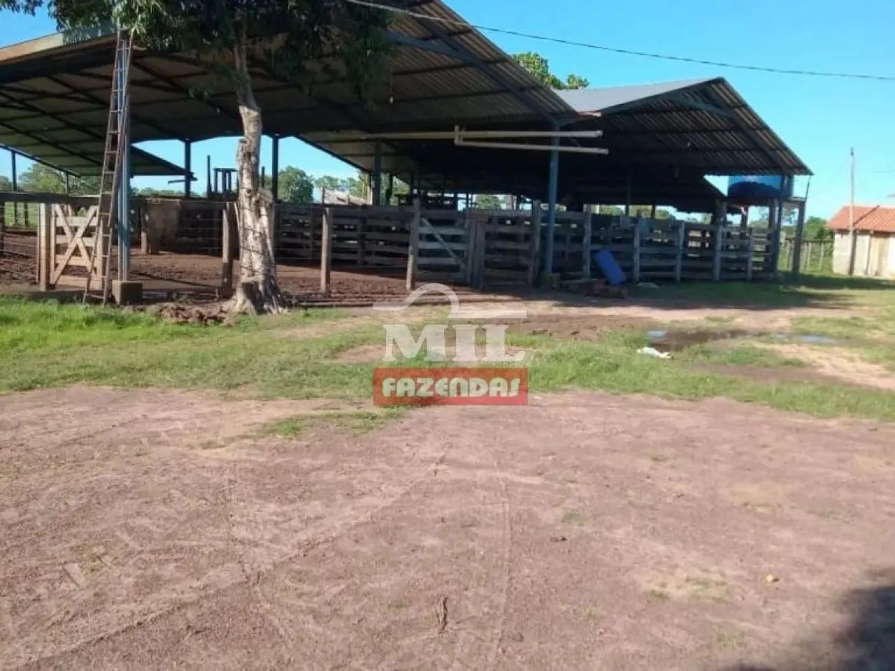 Fazenda 150 alqueires ( 726 hectares ) Rio Sono- TO - Foto 3
