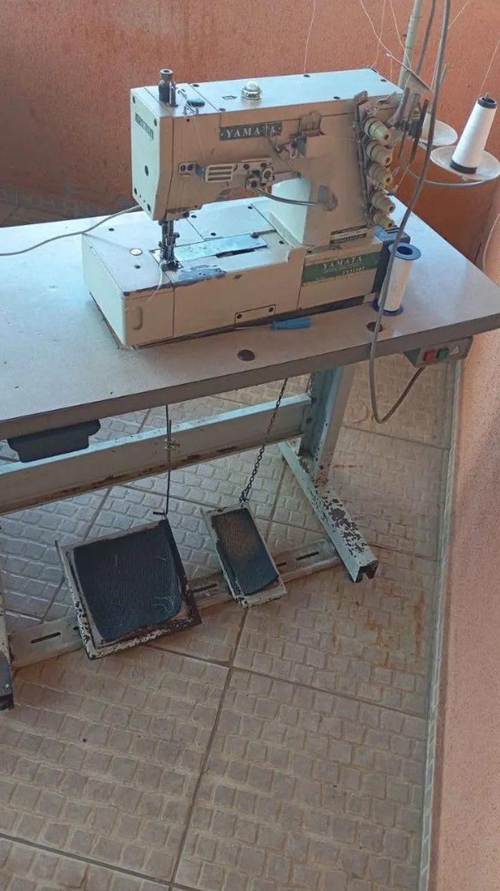 Galoneira yamata  - Foto 2