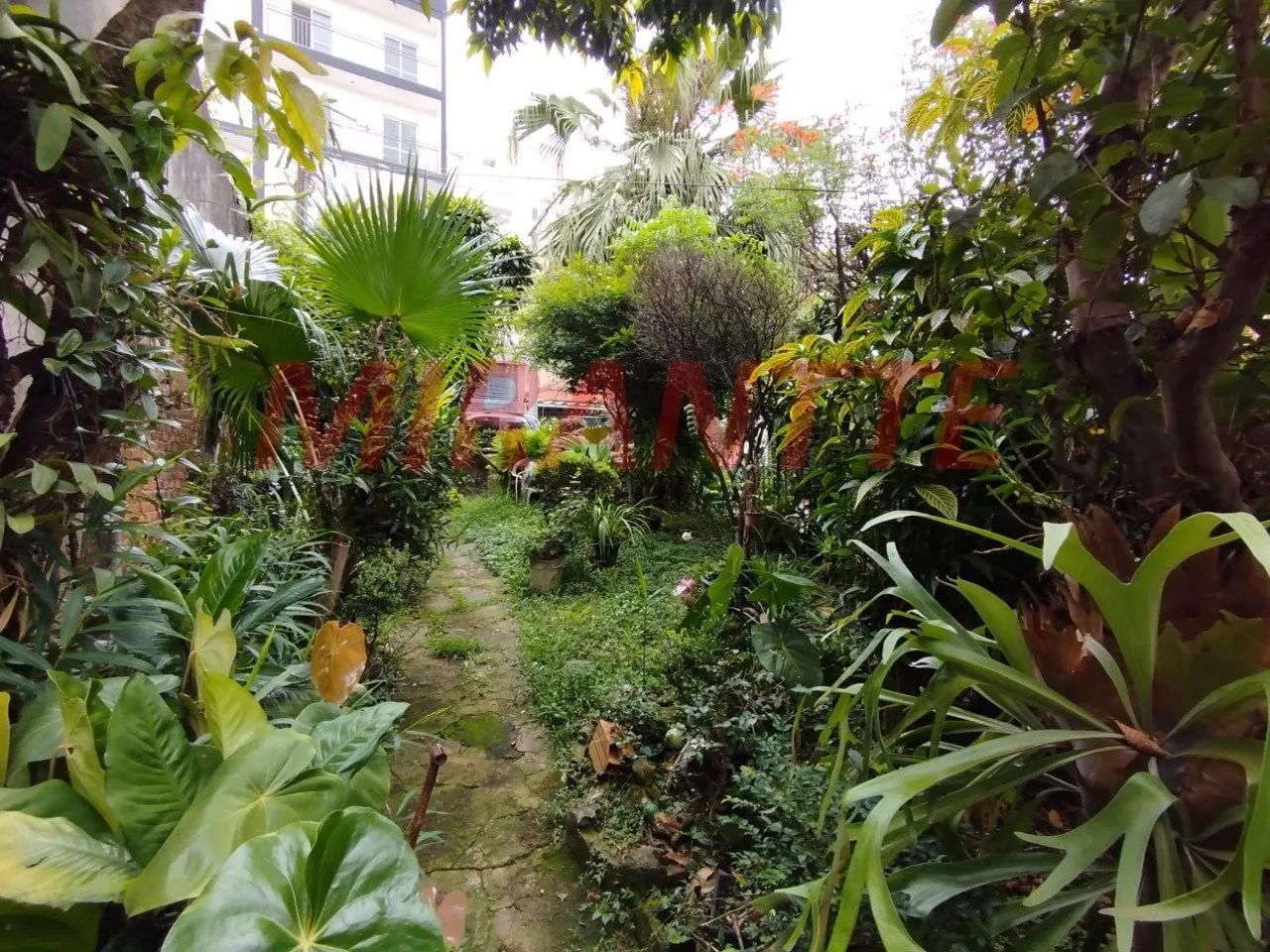 Terreno em Água Fria - Foto 2