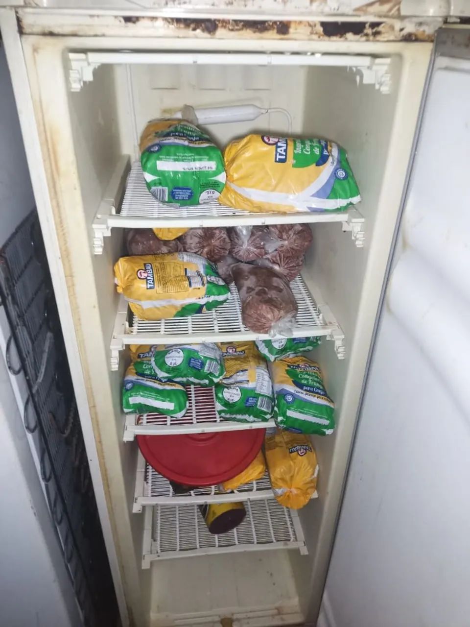 Freezer  - Foto 3