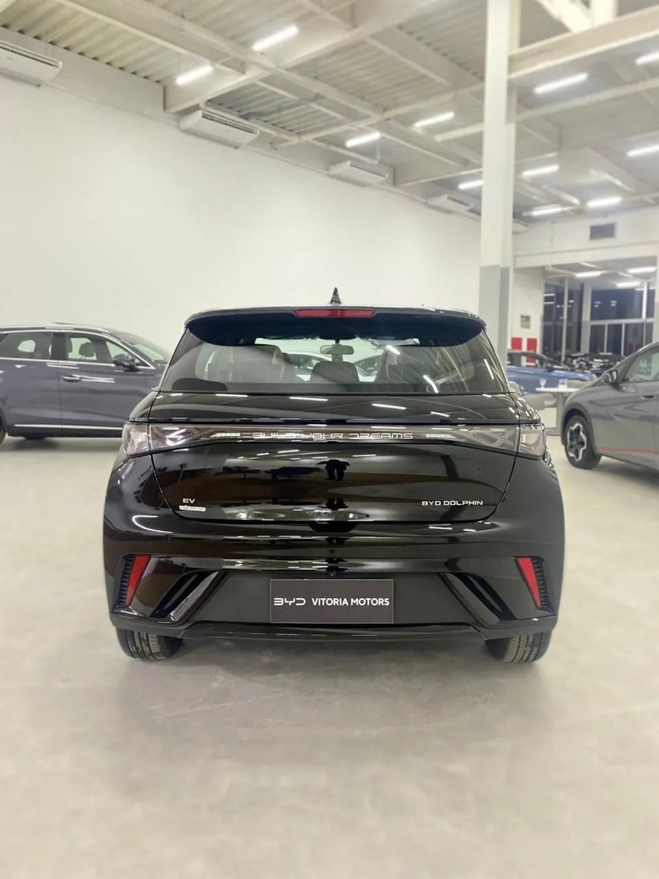 BYD Dolphin 2027