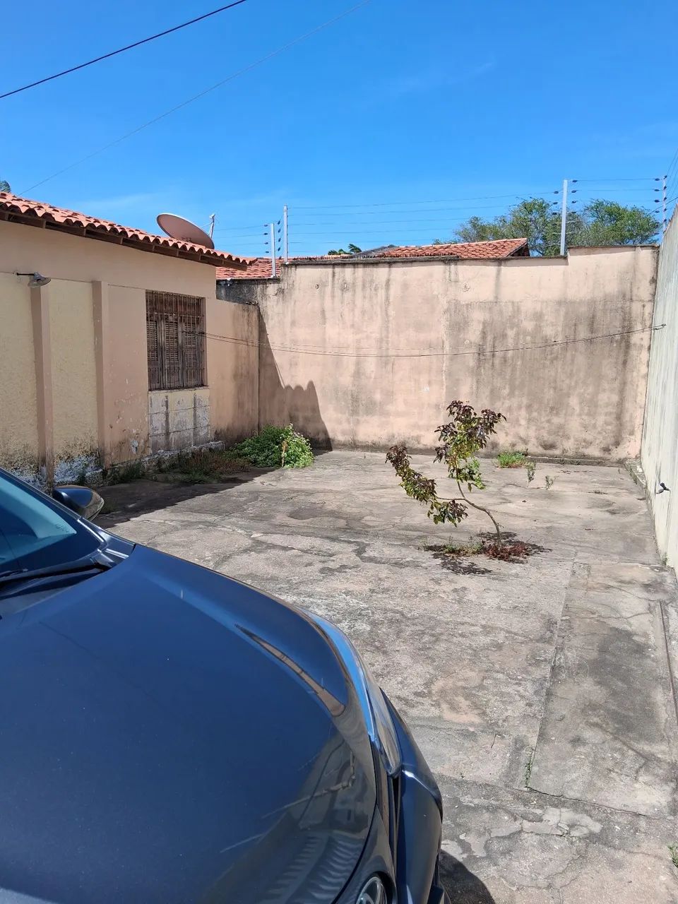 Foto - São Luís - Parque Athenas
