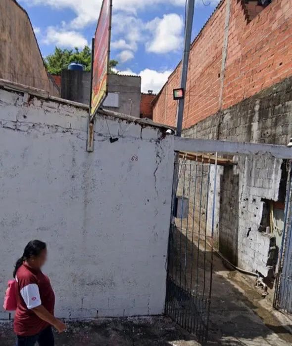 Foto - São Paulo - Jardim das Camélias