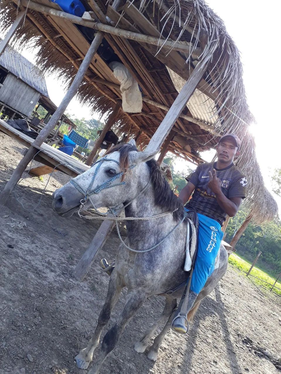 Vaqueiro disponível 
