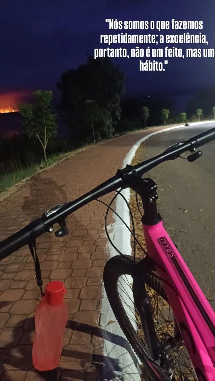 Bike Nova Aro 29 - Foto 2