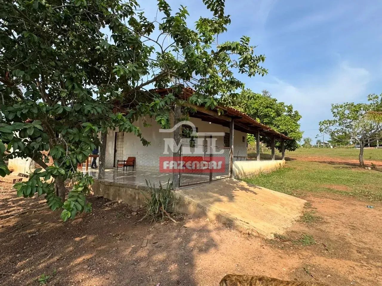 Fazenda 56 alqueires ( 271 hectares ) Crixas GO - Foto 4