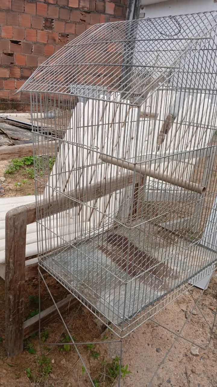 Gaiola grande  - Foto 2