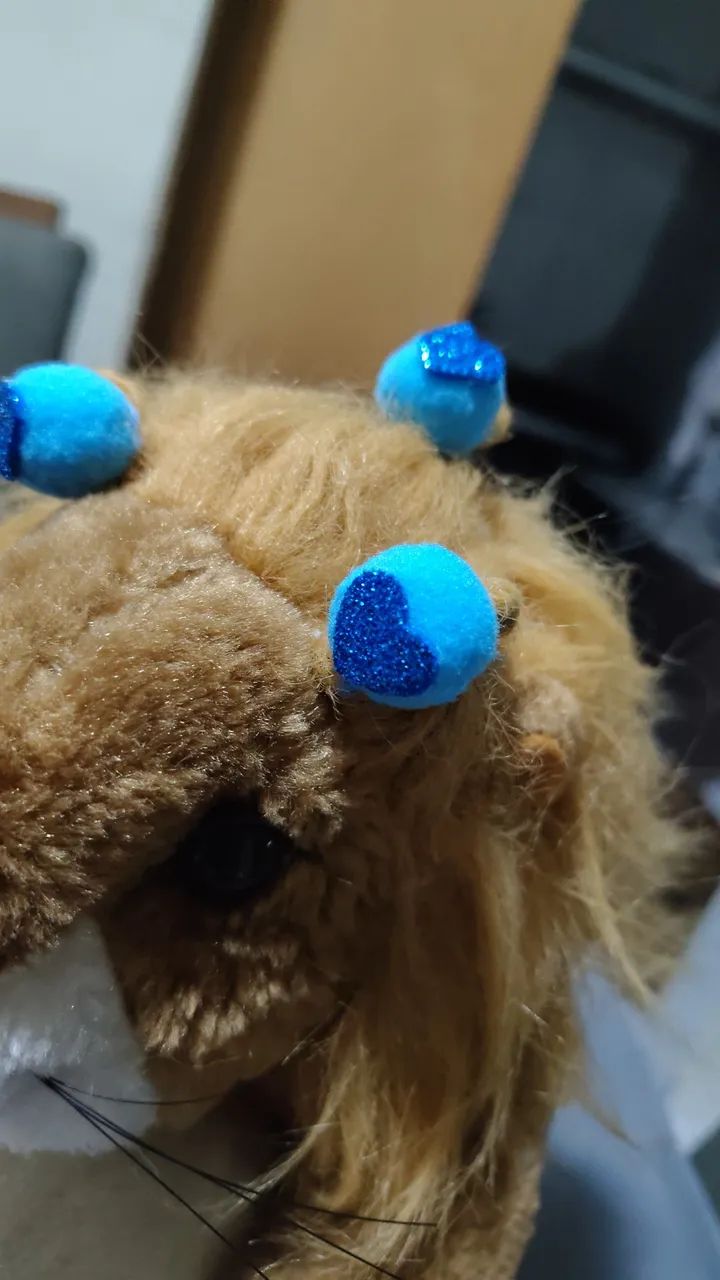 Pompom Pet  - Foto 6