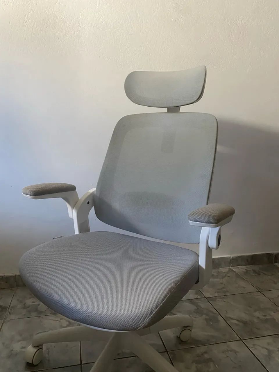 Cadeira Ergonômica 