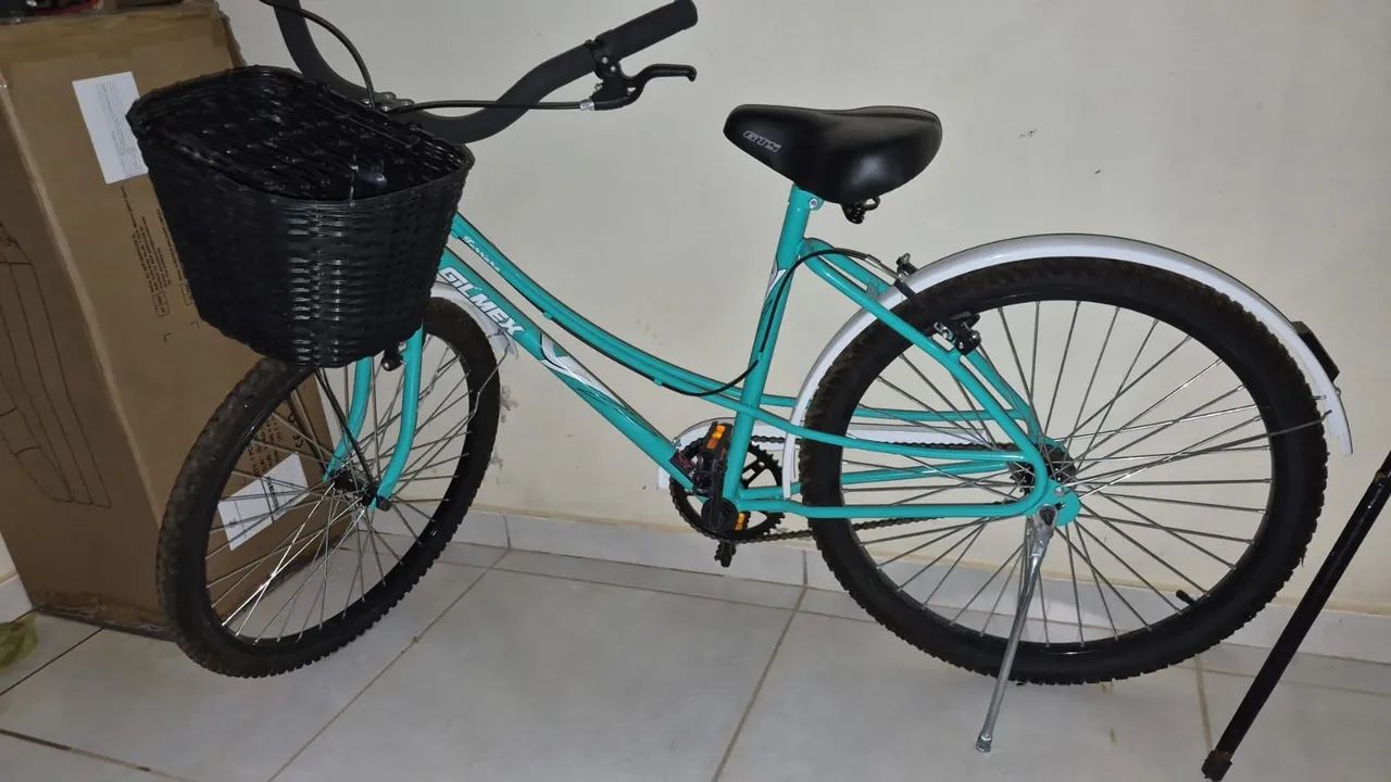 Bicicleta 