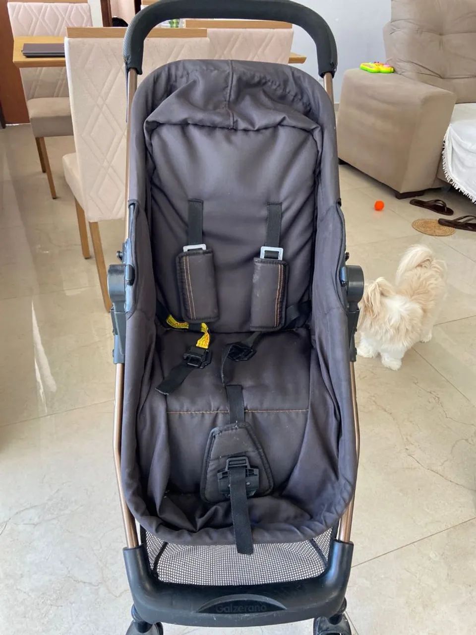 Carrinho com bebe conforto