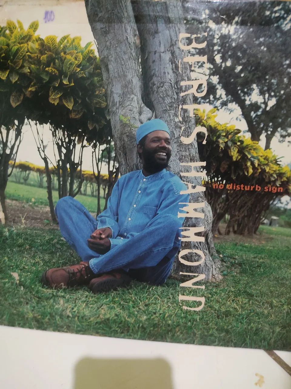Disco de reggae 