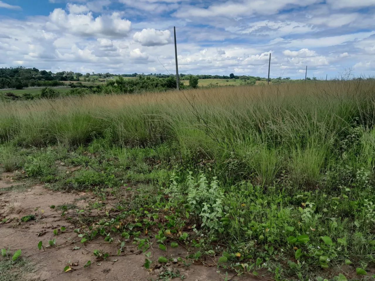 Venda - Foto 4