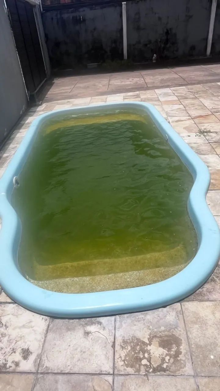 Piscinero  - Foto 2