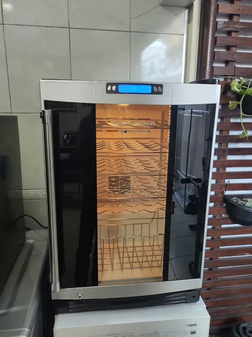 Adega vendo $500 em Campinas 
