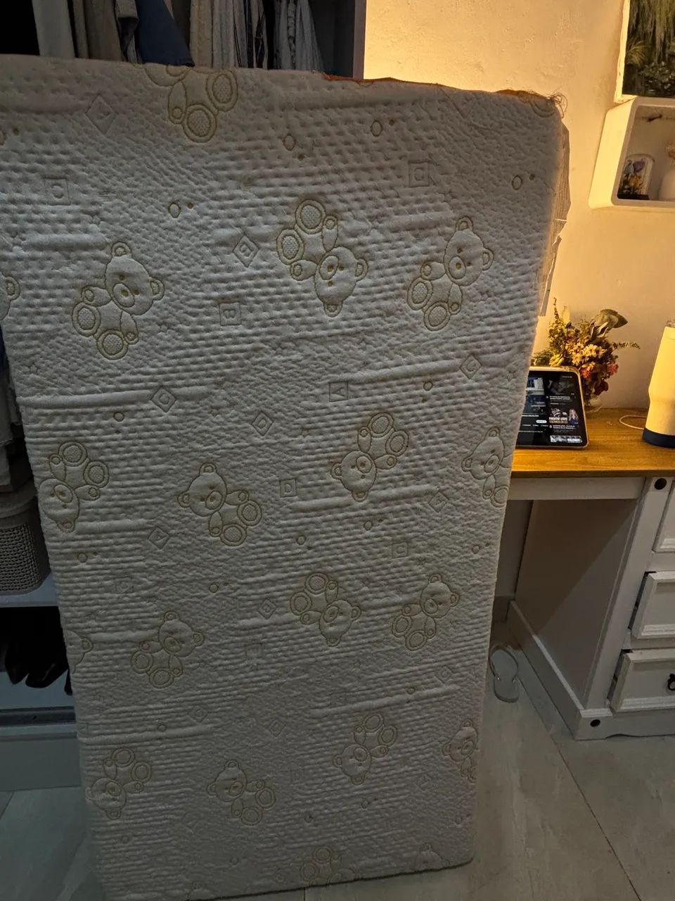 berço evolutivo  - Foto 4