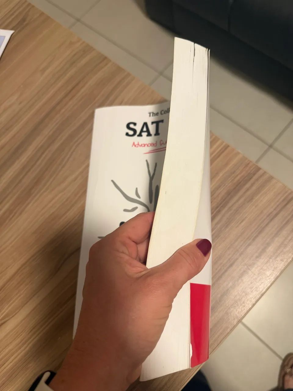Livro  Sat Math Advanced guide 2 and edition 