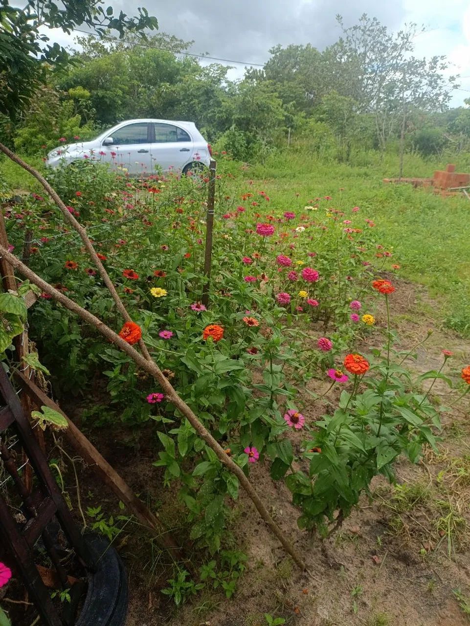 Terreno 10 x 50 Paraipaba, 25mil - Foto 4