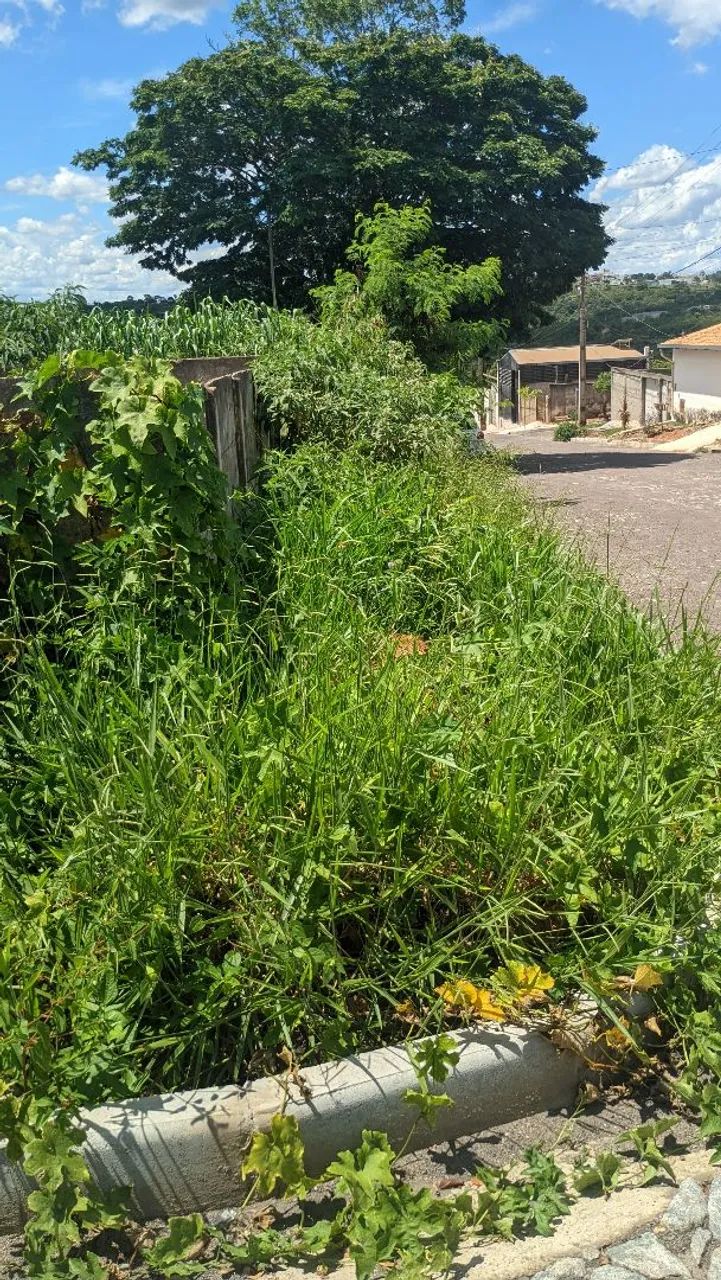 servicos com roçadeira  - Foto 4