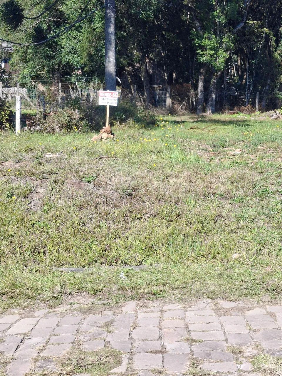 Terreno  - Foto 5