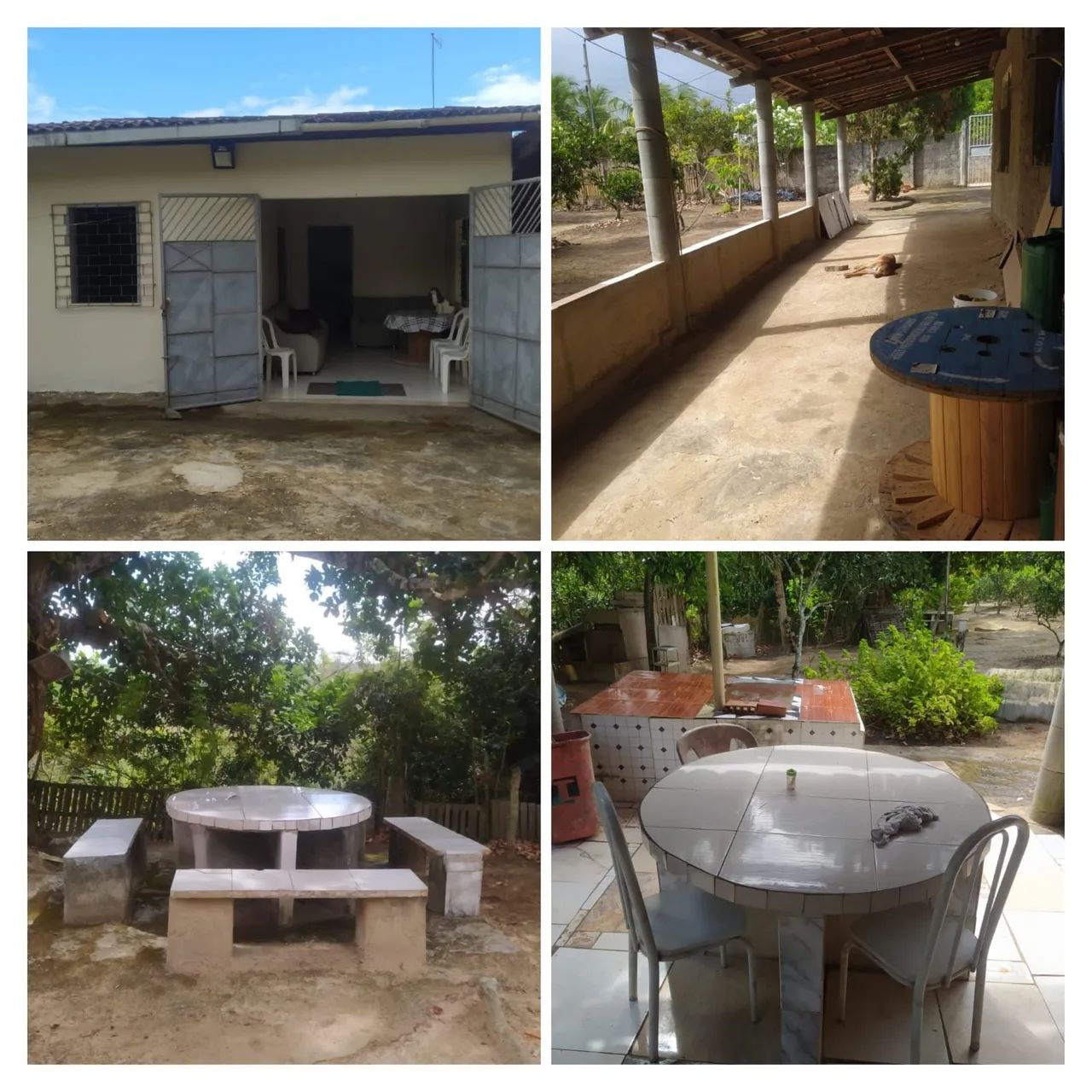 Sítio em salgado - Foto 3