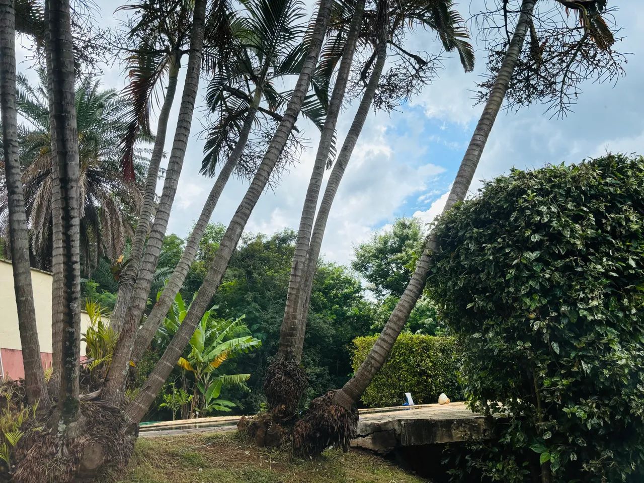 Mansão completa de frente para mata com piscina e hidro - Foto 2