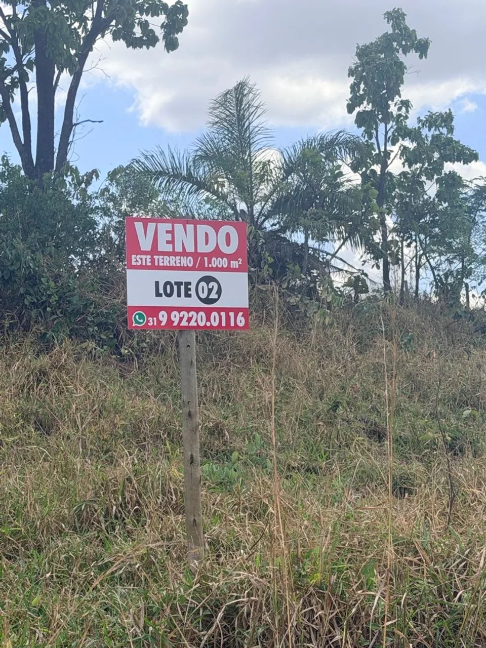 Terreno em inhaúma  - Foto 2