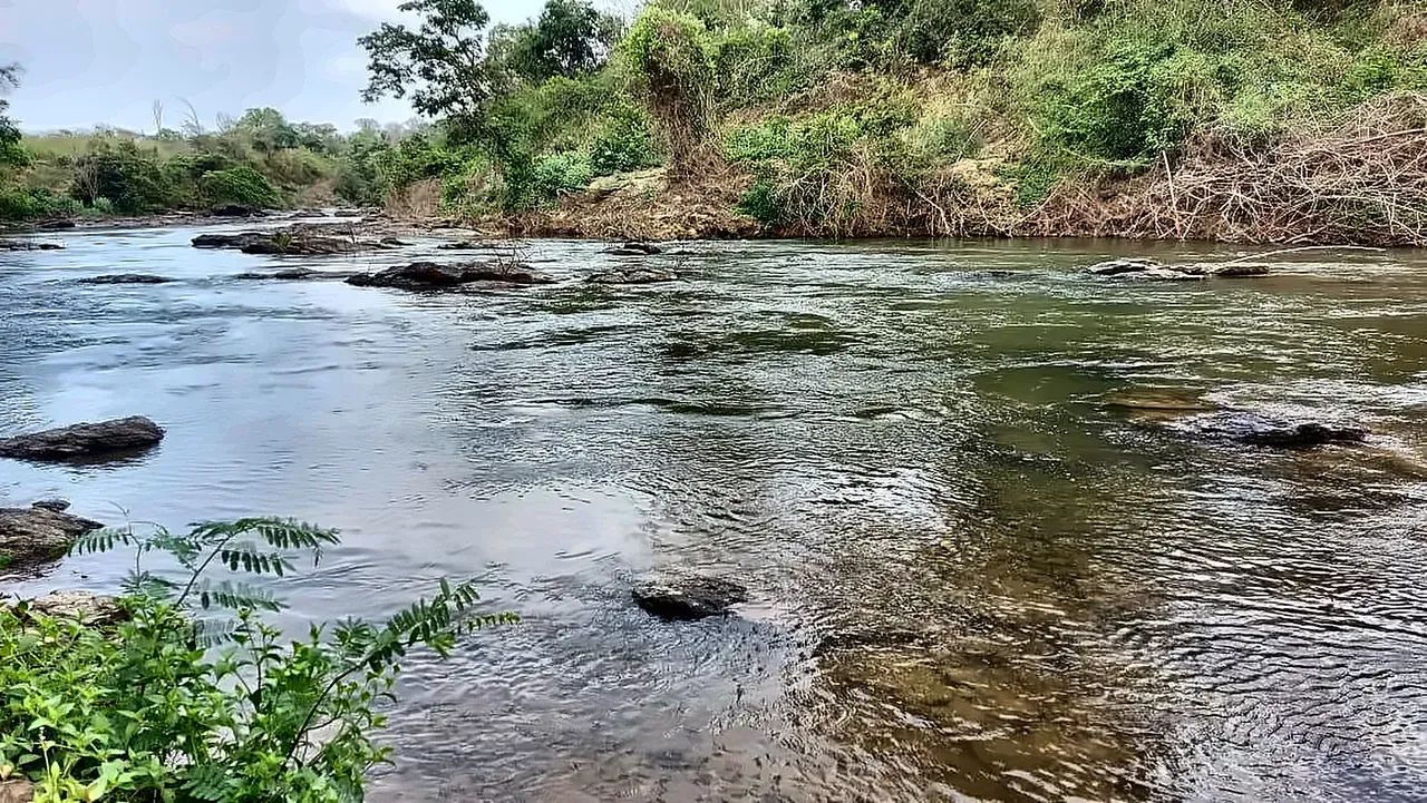 . Chácaras 2 hectares com fundo pro Rio } - Foto 3