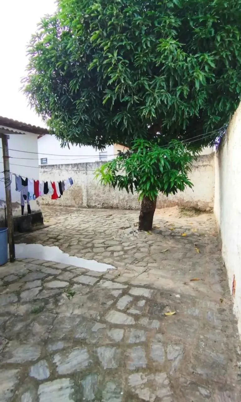 514-filipinho - Foto 5