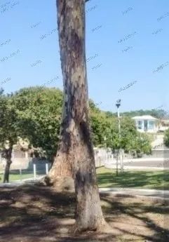 Vendo terreno Araruama.  - Foto 3
