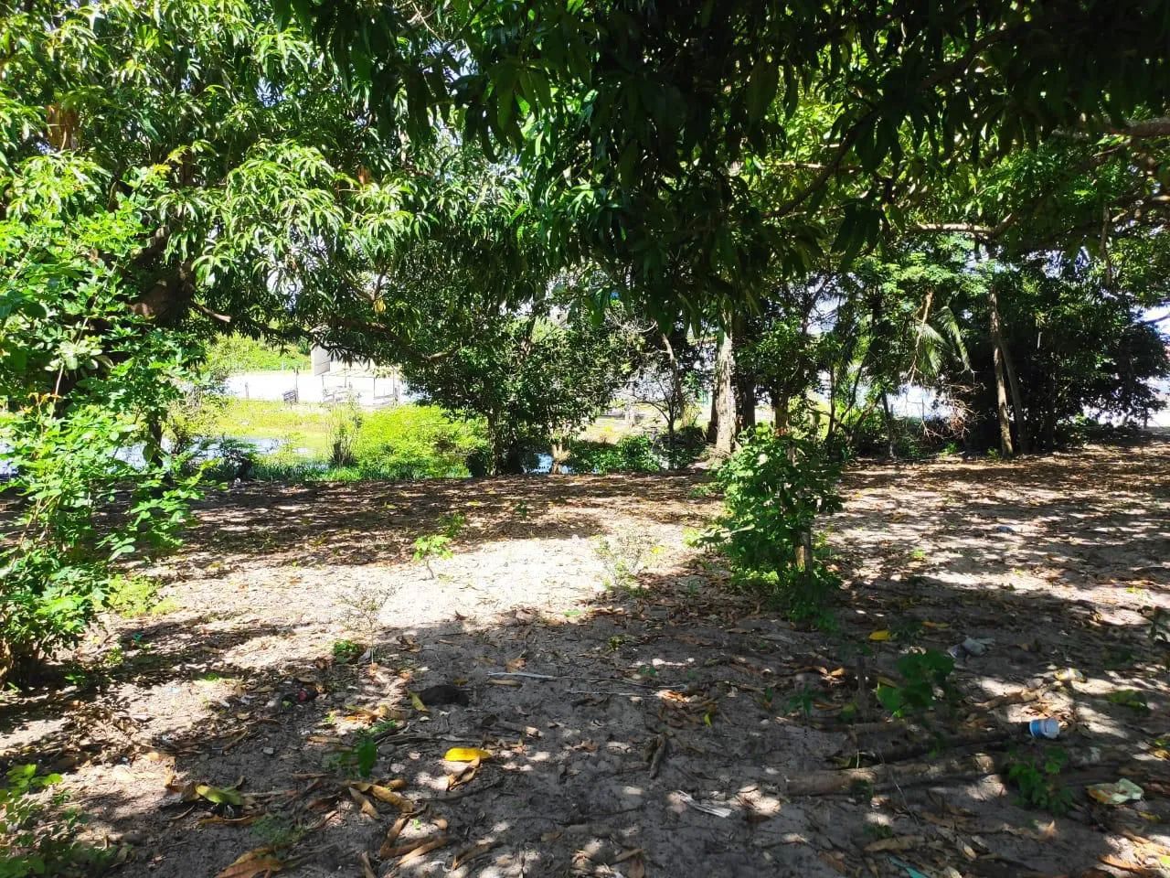 Terreno em Santo Amaro / Ma . Atins  - Foto 4
