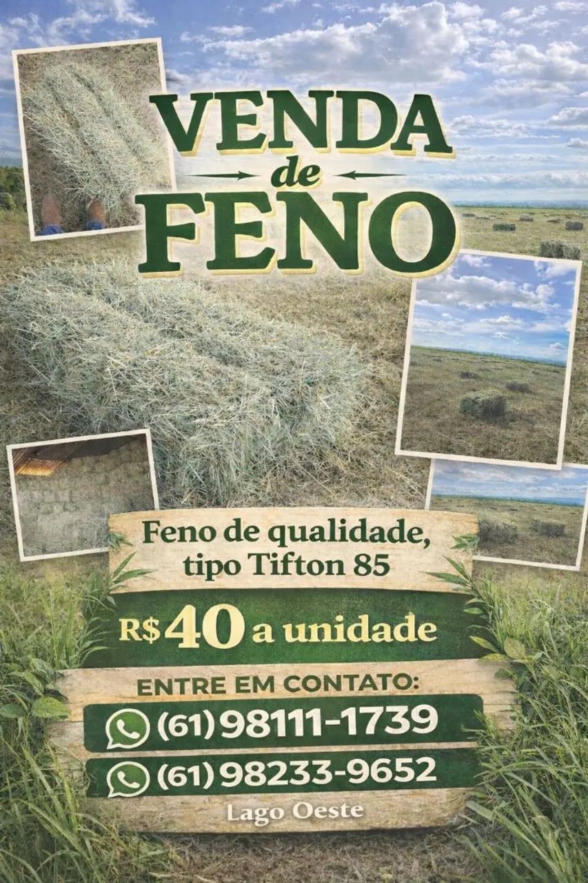 Fardo de feno - tiftom 85