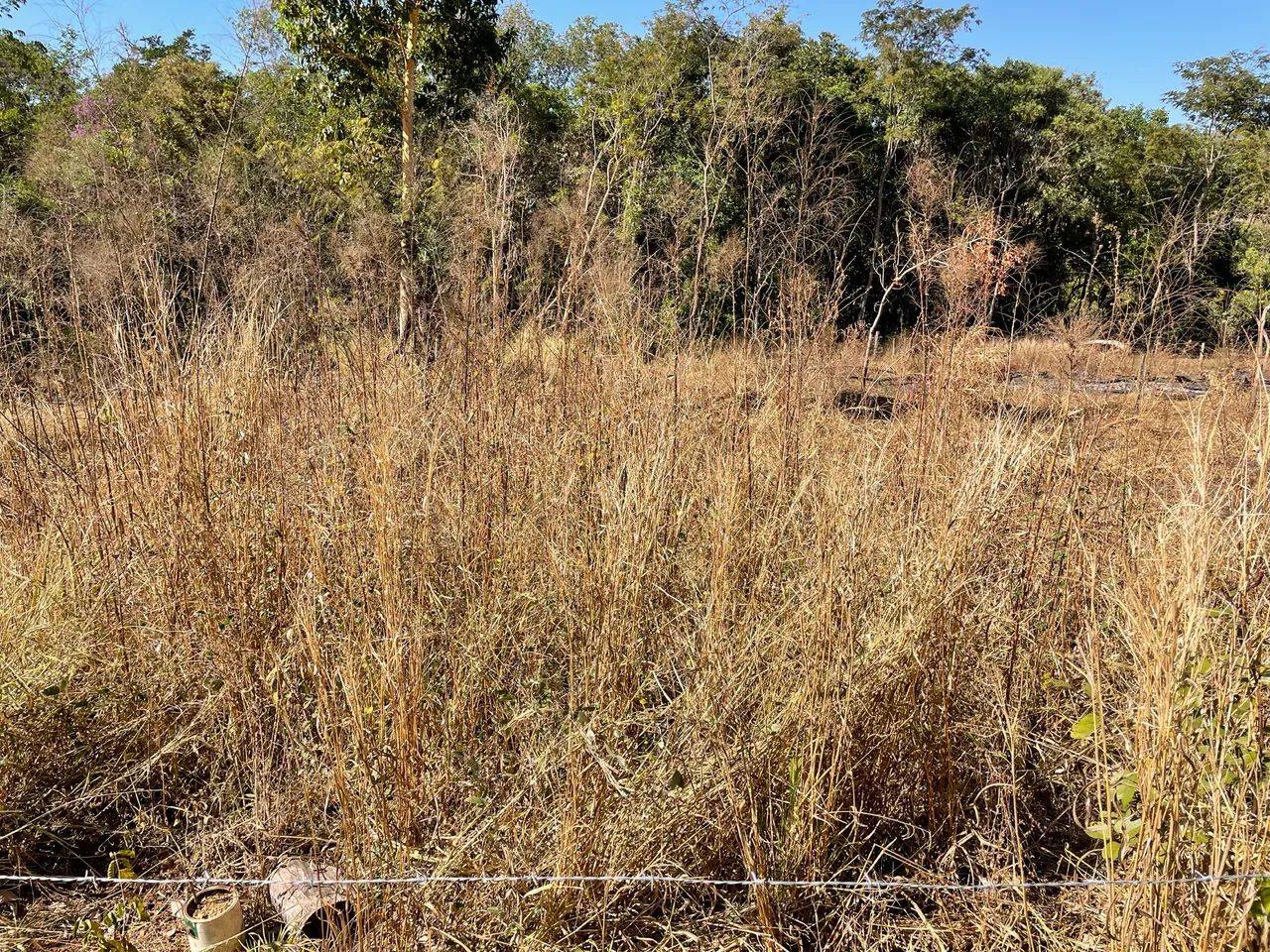 OPORTUNIDADE TERRENO PIRENÓPOLIS  - Foto 4