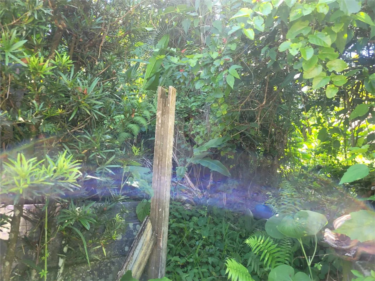 Terreno à venda em Costa do sol - SP