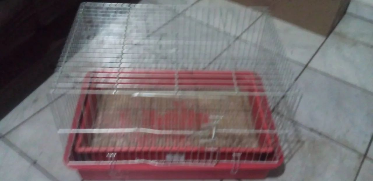 Gaiola grande para ramister e outros - Foto 3