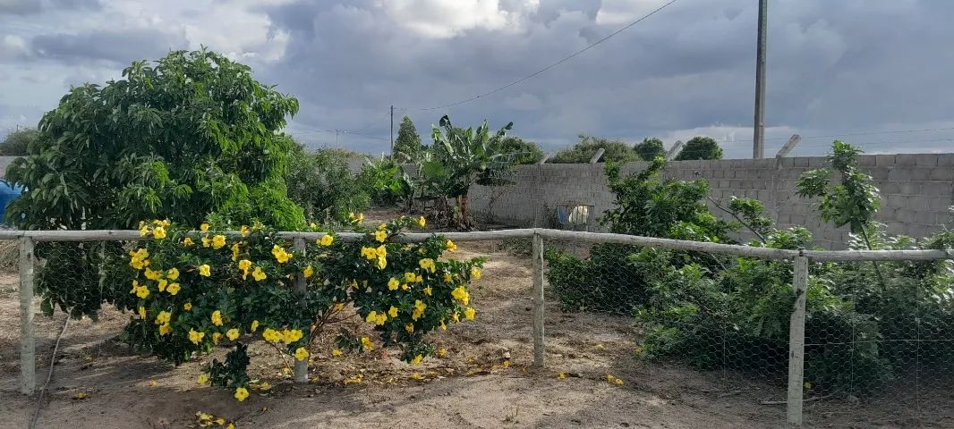Sitio a venda. Pronto para morar. - Foto 4