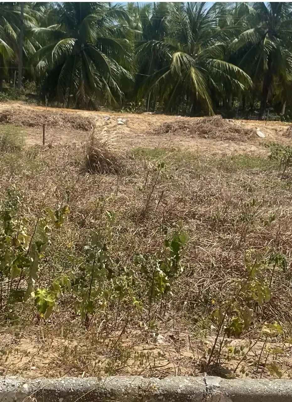 Vendo terreno na Barra dos Coqueiros  - Foto 4