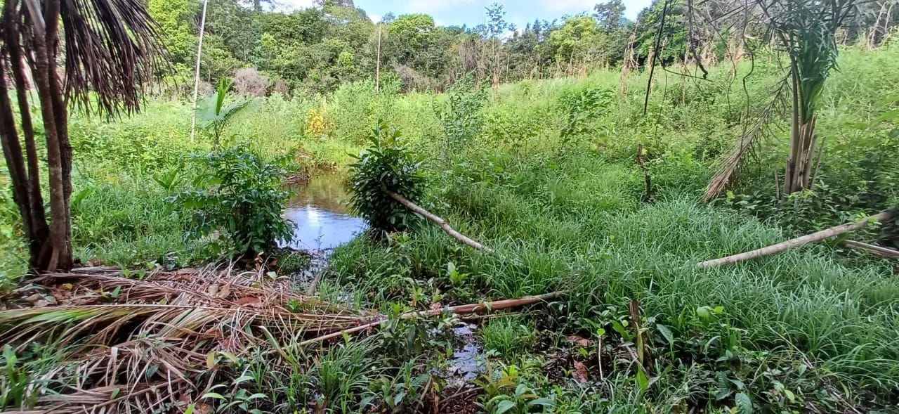 Vendo ou troco Terreno  - Foto 4