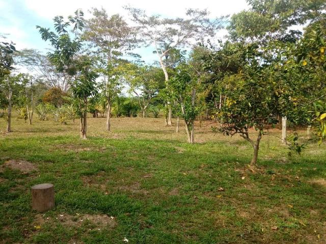 Chácara:Venda ou troca - Foto 4