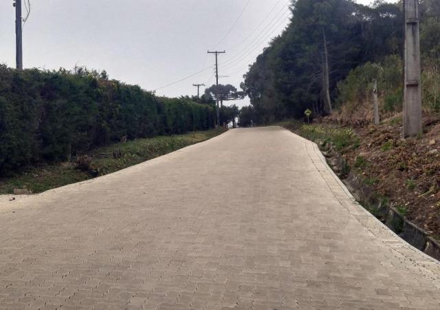 Chácara à venda em Borda do campo, São josé dos pinhais cod:69291 - Foto 13