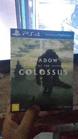 Shadow of the colosos
