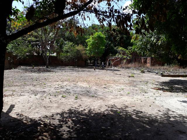 Vendo um sitio - Foto 4