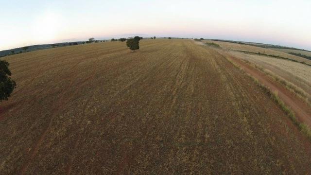 ID.12 Fazenda 190 alq. Para Lavoura á venda em Caldas novas-Go - Foto 12