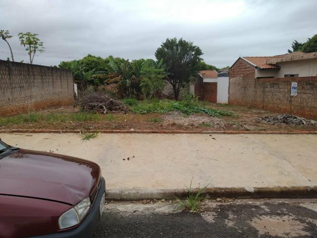 Terreno grande(490m²), com escritura, bairro Santo Expedito em JALES SP - Foto 3