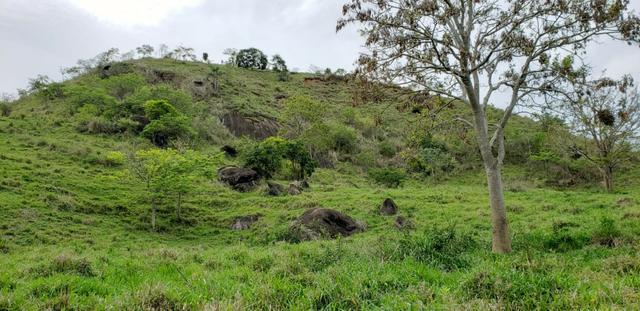 Fazenda 307 hectares localizada na Região sudene em Itambacuri, Leste de Minas Gerais - Foto 13