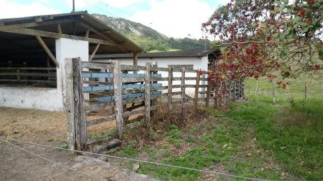 Sairé=Vend-25 mil por Hect. Fazenda com 200 Hectares-Pronta pra Criar Gado - Foto 16