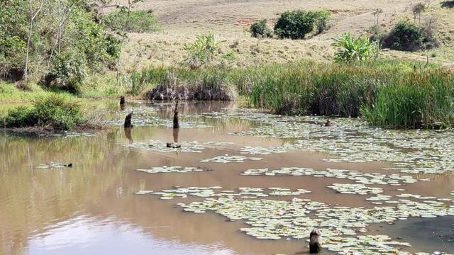 Fazenda 307 hectares localizada na Região sudene em Itambacuri, Leste de Minas Gerais - Foto 14